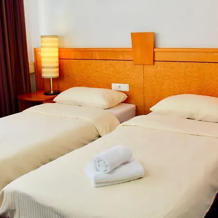 Parkhotel Viktoria فندق