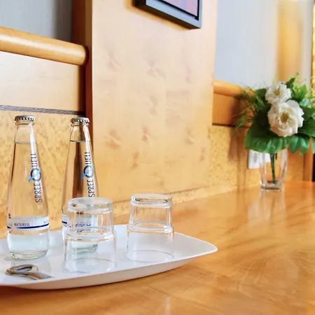 Parkhotel Viktoria Hotel 3*