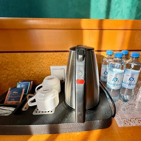 Parkhotel Viktoria 3* 벨튼