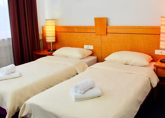 Parkhotel Viktoria Hotel