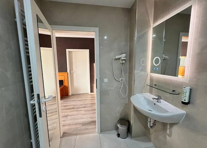 Parkhotel Viktoria Hotel 3*